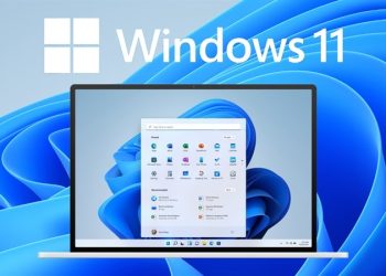 Windows 11 Home là gì? Nên sử dụng Windows 11 Home hay Windows 11 Pro