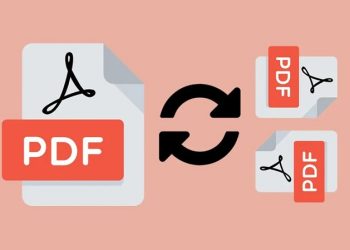 Cách xoay file PDF bị ngược dễ dàng trên máy tính và online 2025