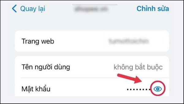 Nhấn biểu tượng Hiển thị tại mục mật khẩu