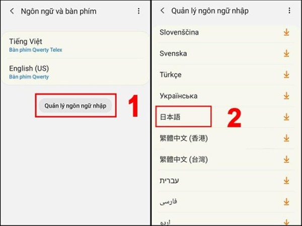 Chọn Quản lý ngôn ngữ nhập
