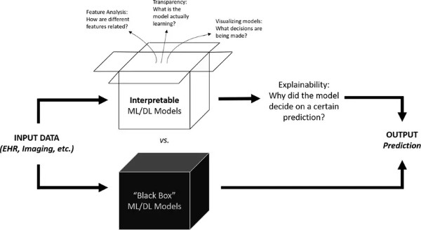Phương thức hoạt động của công cụ Blackbox AI
