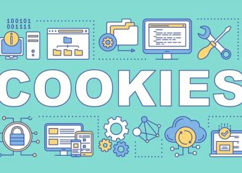 Cách bật Cookie trên iPhone tăng tối đa hiệu quả sử dụng