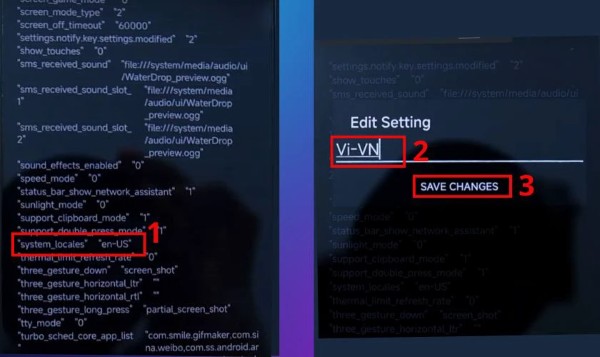 Sửa thành “vi-VN” và nhấn SAVE CHANGES