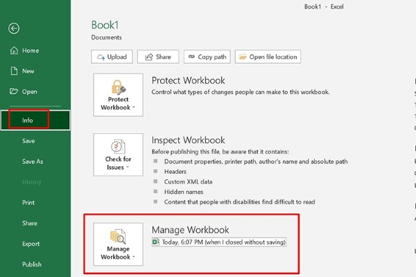 Nhấn mục Manage Workbook