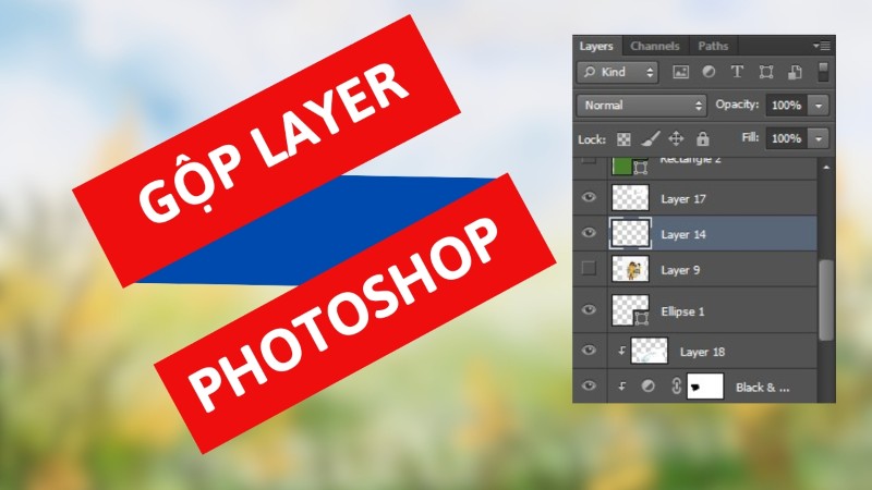 Gộp Layer hợp nhất nhiều lớp thành một lớp duy nhất