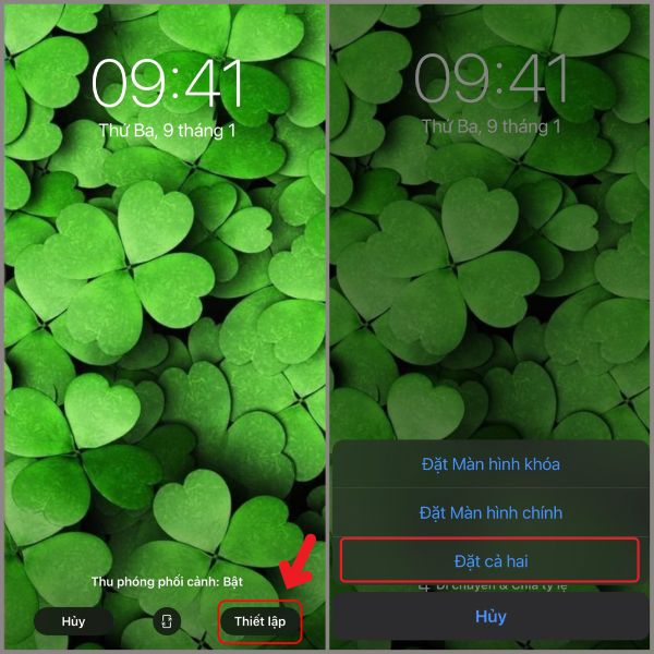 Các bước đặt hình nền cỏ 4 lá cho iPhone