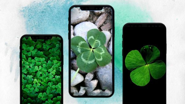 Các bước đặt hình nền cỏ 4 lá cho iPhone